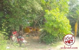 Xin số đề miễn phí - Hướng dẫn cách xin số - Tổng hợp xin số 2025